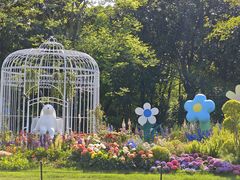 -上海共青森林公园