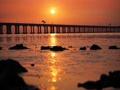 -宝安西湾红树林湿地公园