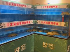 -西郊竹园甲鱼面(老一中店)