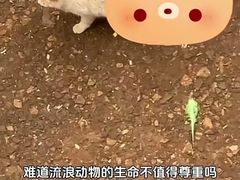 -昆明动物园