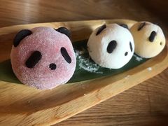 天府三色熊猫-天府掌柜(九眼桥店)