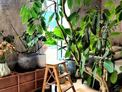 -山下C5cafe(惠通时代广场店)