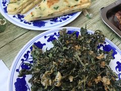 -北京白桦林彭兴全农家院