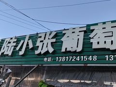 -马陆小张葡萄园农家乐