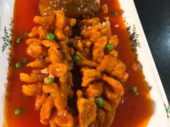 -云中小雅