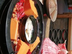 -渝大狮毛肚老火锅(普陀店)