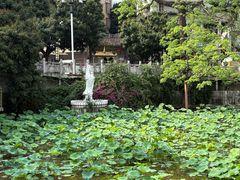 -长洲岛
