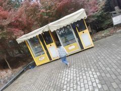 -雨花胜境