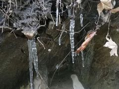 -燕子河大峡谷天坑仙境