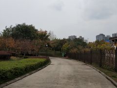 -西安青龙寺遗址景区