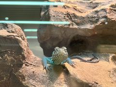 -朵云书院(滴水湖店)