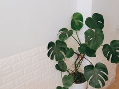 -海胆小馆(东北水饺·春柳店)