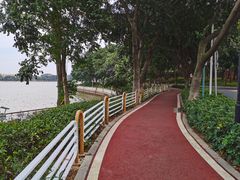 -仙湖旅游度假区