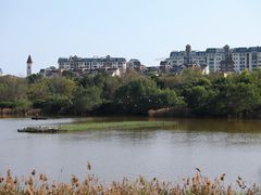 -华侨城湿地公园
