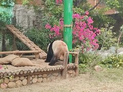 -灵玲国际马戏城