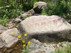 -玉渡山自然风景区