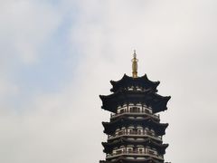 -洋湖国家湿地公园