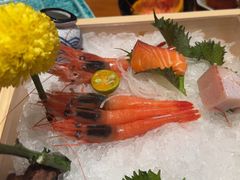 -月龍吟(朝龙汇店)