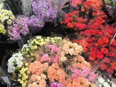 -循礼门鲜花花市(武汉循礼门店)