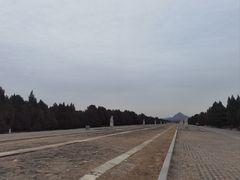 -清东陵