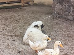 -HERRE·FARM 赫尔露营农场·团建聚会包场