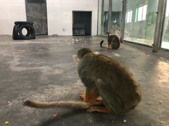 -西安秦岭野生动物园