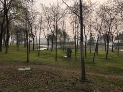 -咸阳湖景区-古渡公园