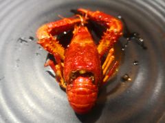 经典十三香龙虾-红盔甲·小龙虾(天钥桥店)