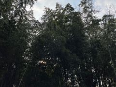 -水绘园