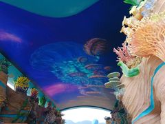 -珠海长隆海洋王国