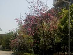 -昆明市官渡区第六中学