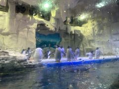 -华夏文旅海洋公园