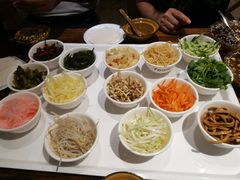 -杨姨妈丝娃娃(花果园店)