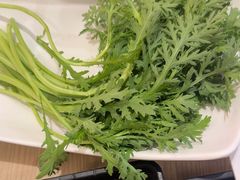 -呷哺呷哺 黄金牧场 (新辰里学清路店)