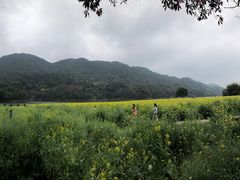 -广州市石门国家森林公园