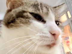 -河内内排国际机场