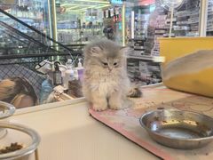 -见味花甲(合生汇店)