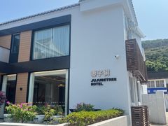 -枣子树·素食餐厅(普陀山店)