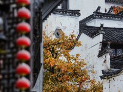 -婺源风景区