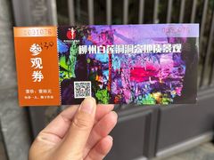 -柳州白莲洞洞穴科学博物馆