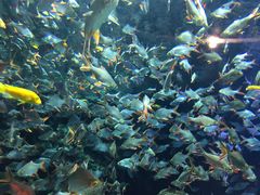 -成都浩海立方海洋公园