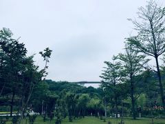 -飞凤山奥体公园