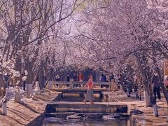 -三里河公园