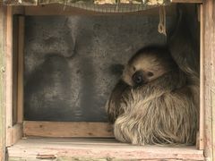 -广州长隆野生动物世界