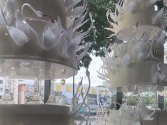 -BLACKSWAN黑天鹅(环球店)
