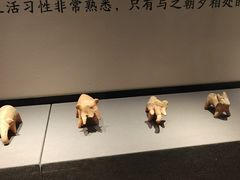 -荆州博物馆