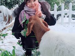 -天目湖涵田半山温泉