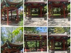 -月坛公园