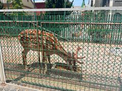 -清风小镇闯关东影视基地