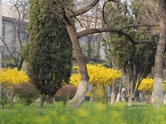-辽宁大学(崇山校区)